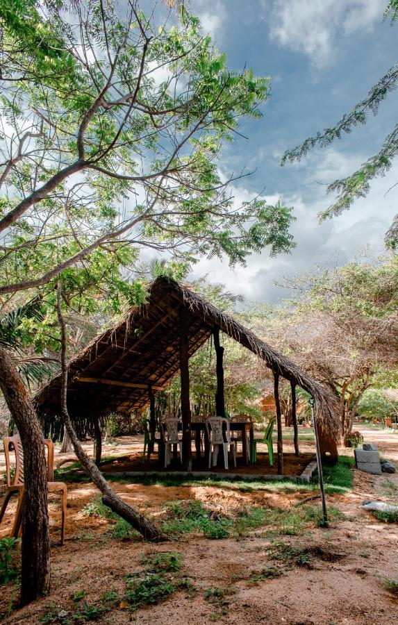Sarada Beach Resort Yala تيساماهاراما المظهر الخارجي الصورة