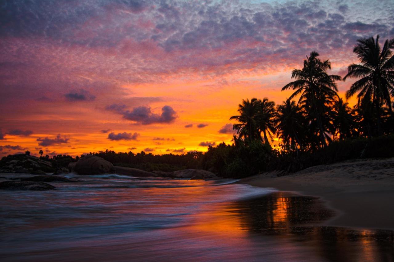 Sarada Beach Resort Yala تيساماهاراما المظهر الخارجي الصورة